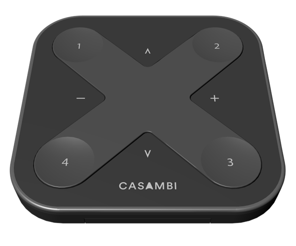 CASAMBI-41