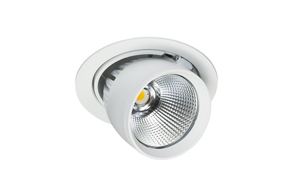 R-FLEX - L AN4552031