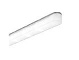 WIGGLE - L SK2901041-1