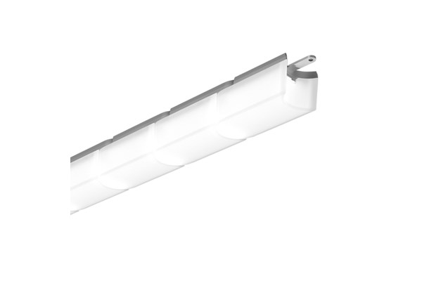 WIGGLE - L SK2902041